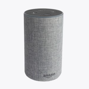 Related Product